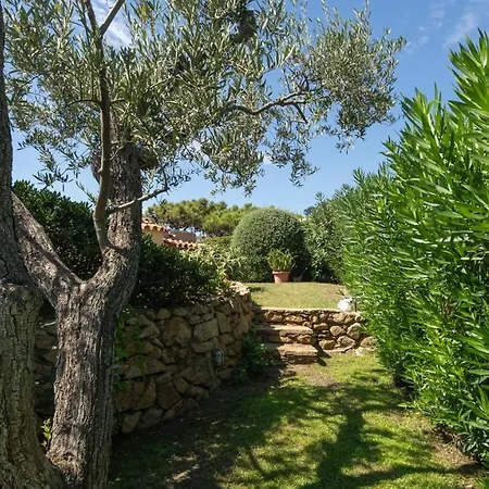 Welcomely - Acqua Marina