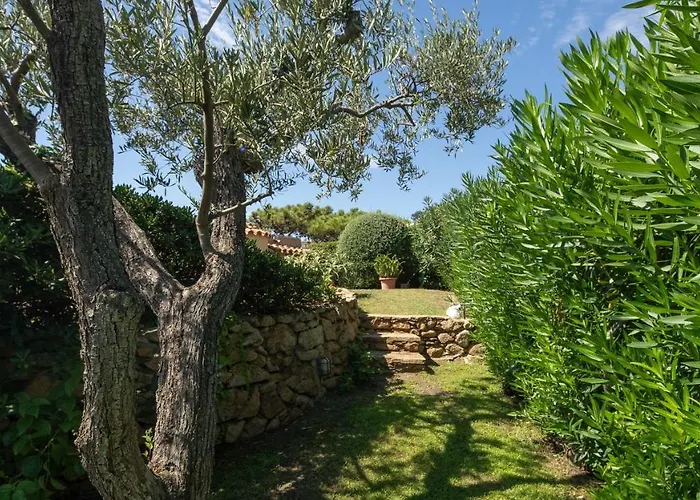 Welcomely - Acqua Marina